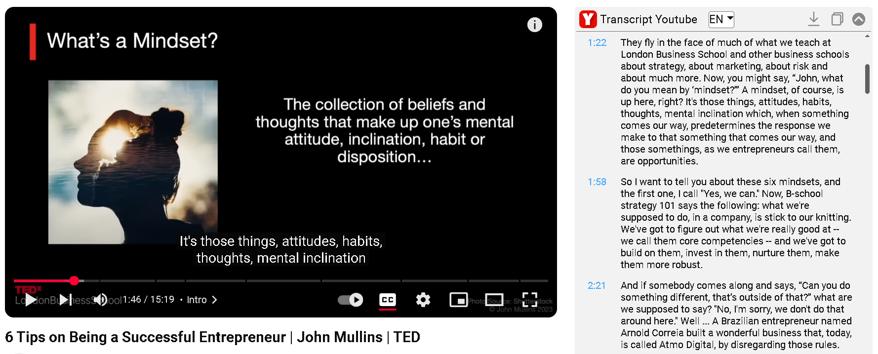 Transcript YouTube Extension